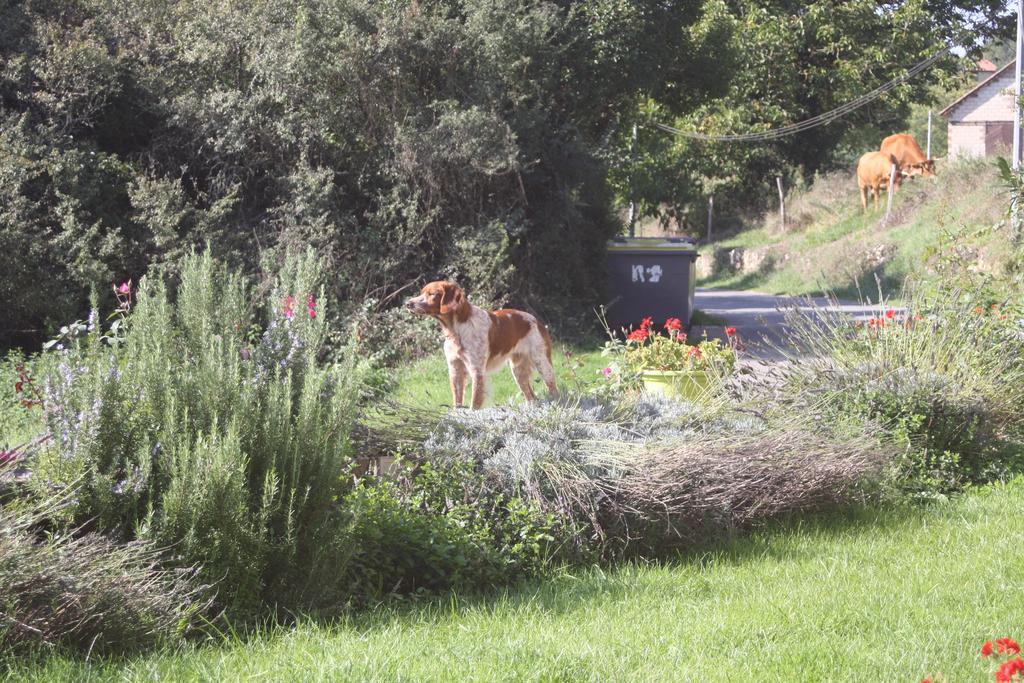 Holiday home De La Mothe Marnac