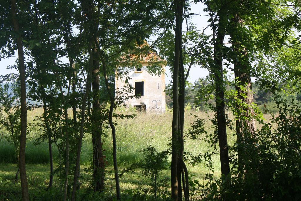 De La Mothe
